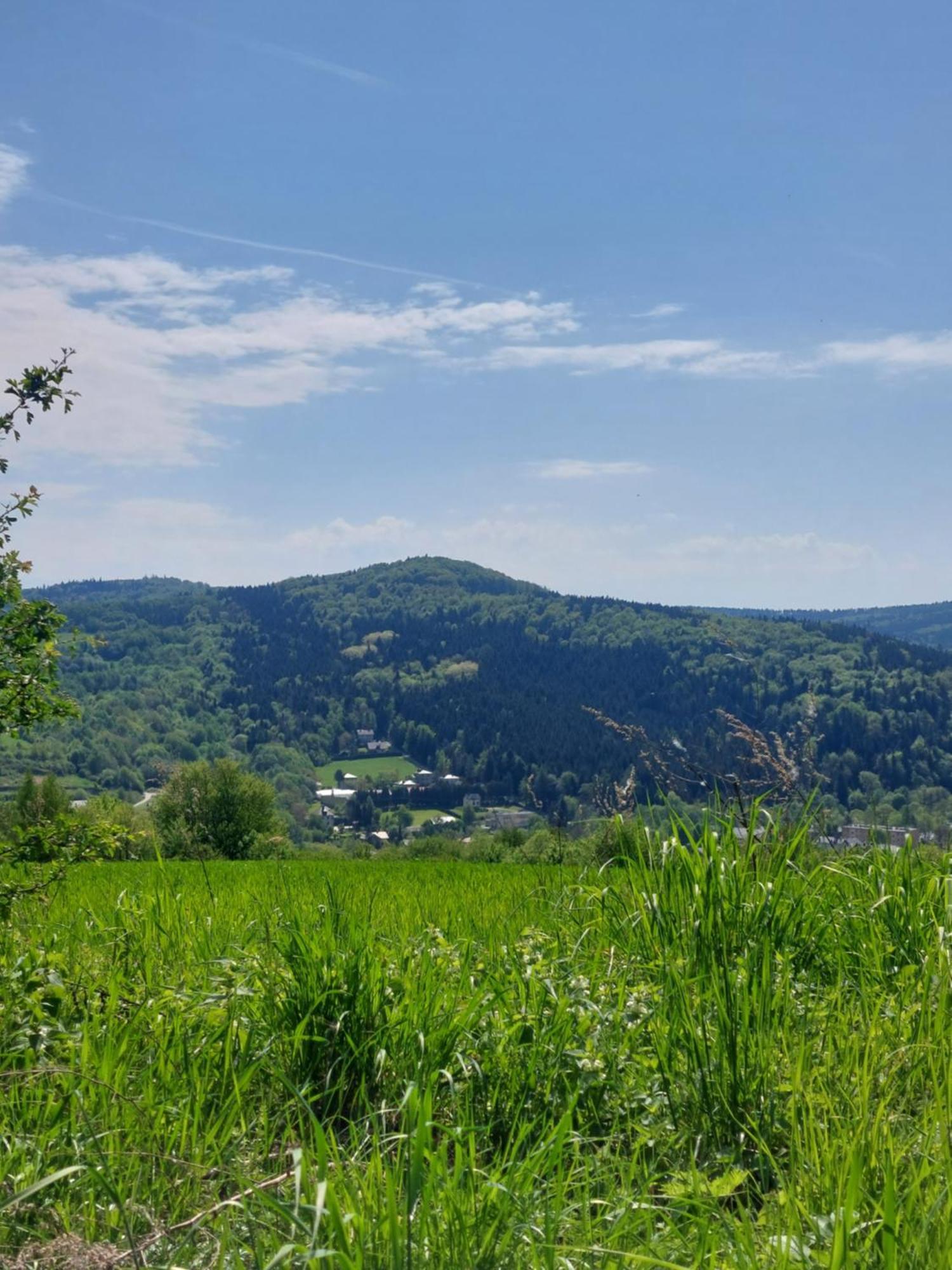 Brzozowy Zakatek Apartment Posada Gorna ภายนอก รูปภาพ
