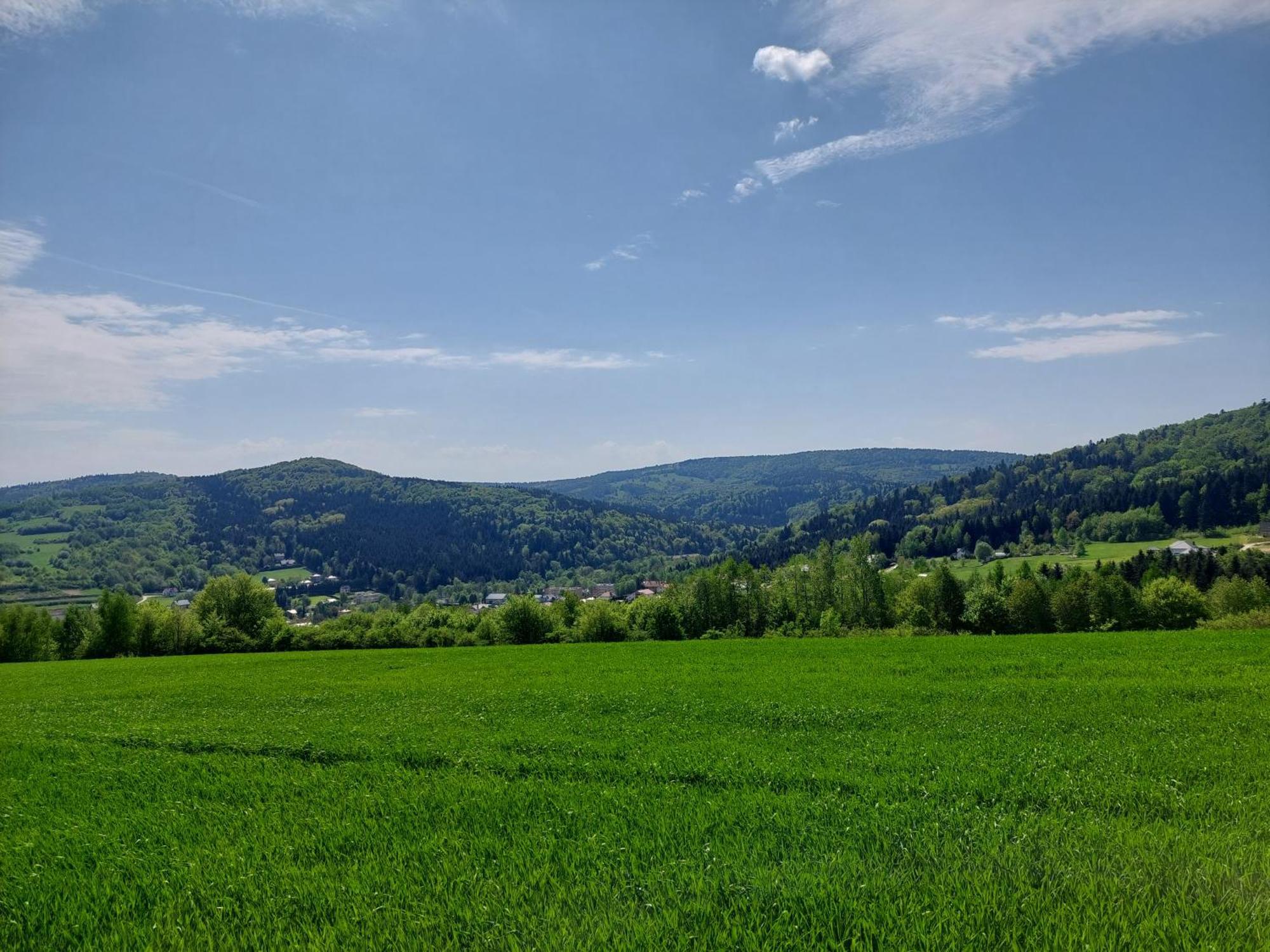 Brzozowy Zakatek Apartment Posada Gorna ภายนอก รูปภาพ