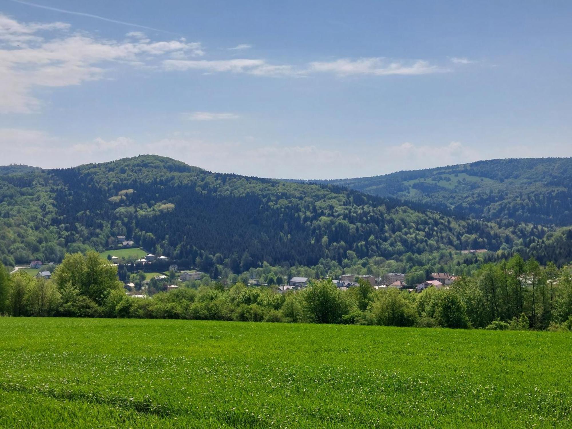 Brzozowy Zakatek Apartment Posada Gorna ภายนอก รูปภาพ